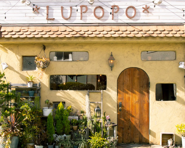 LUPOPO店内のご紹介 cafe gallery LUPOPO blog