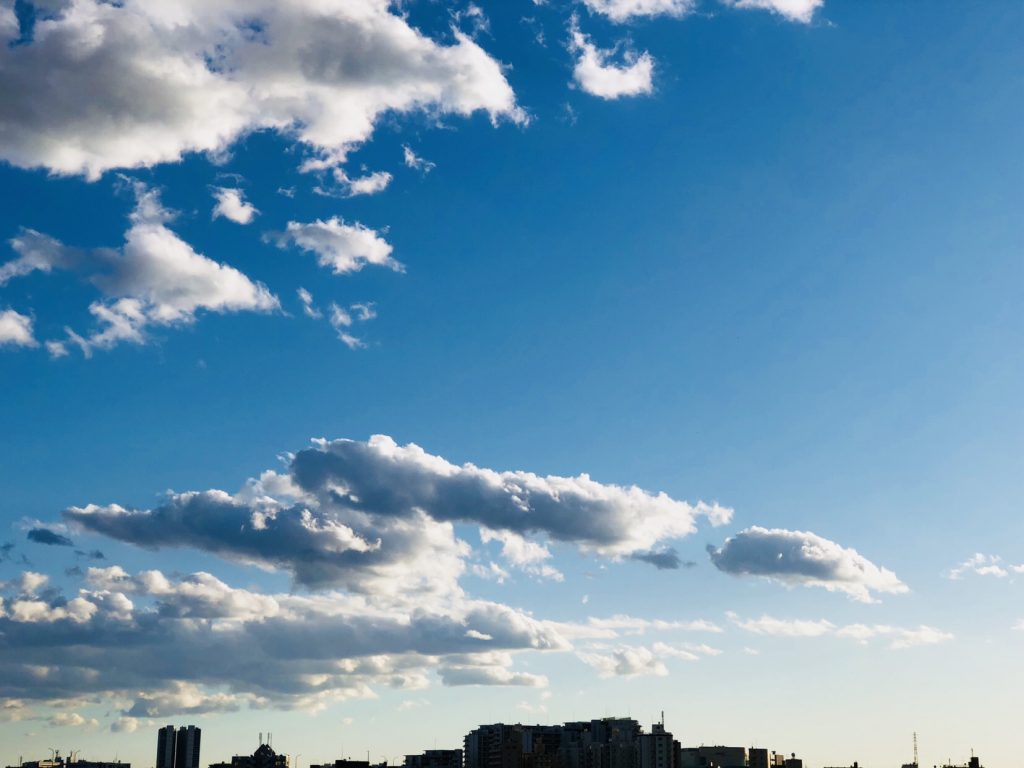 お散歩日和