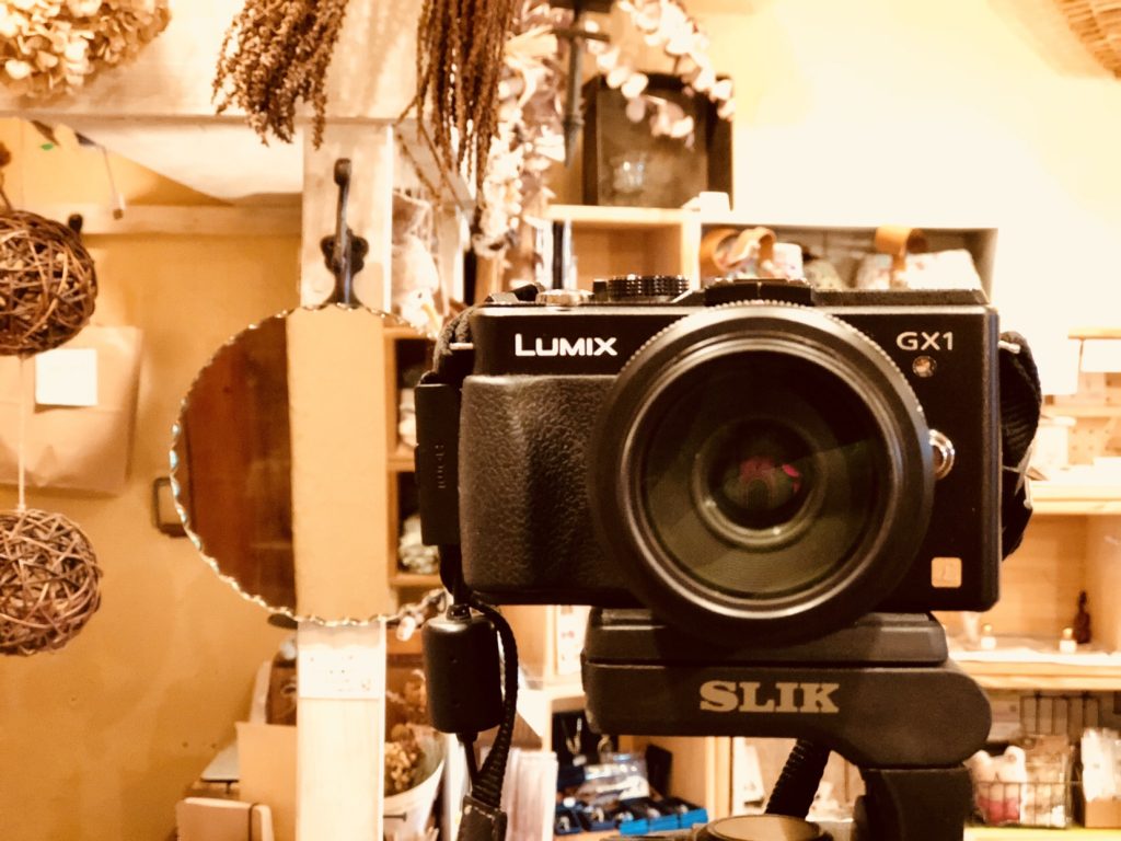 LUMIX GX1