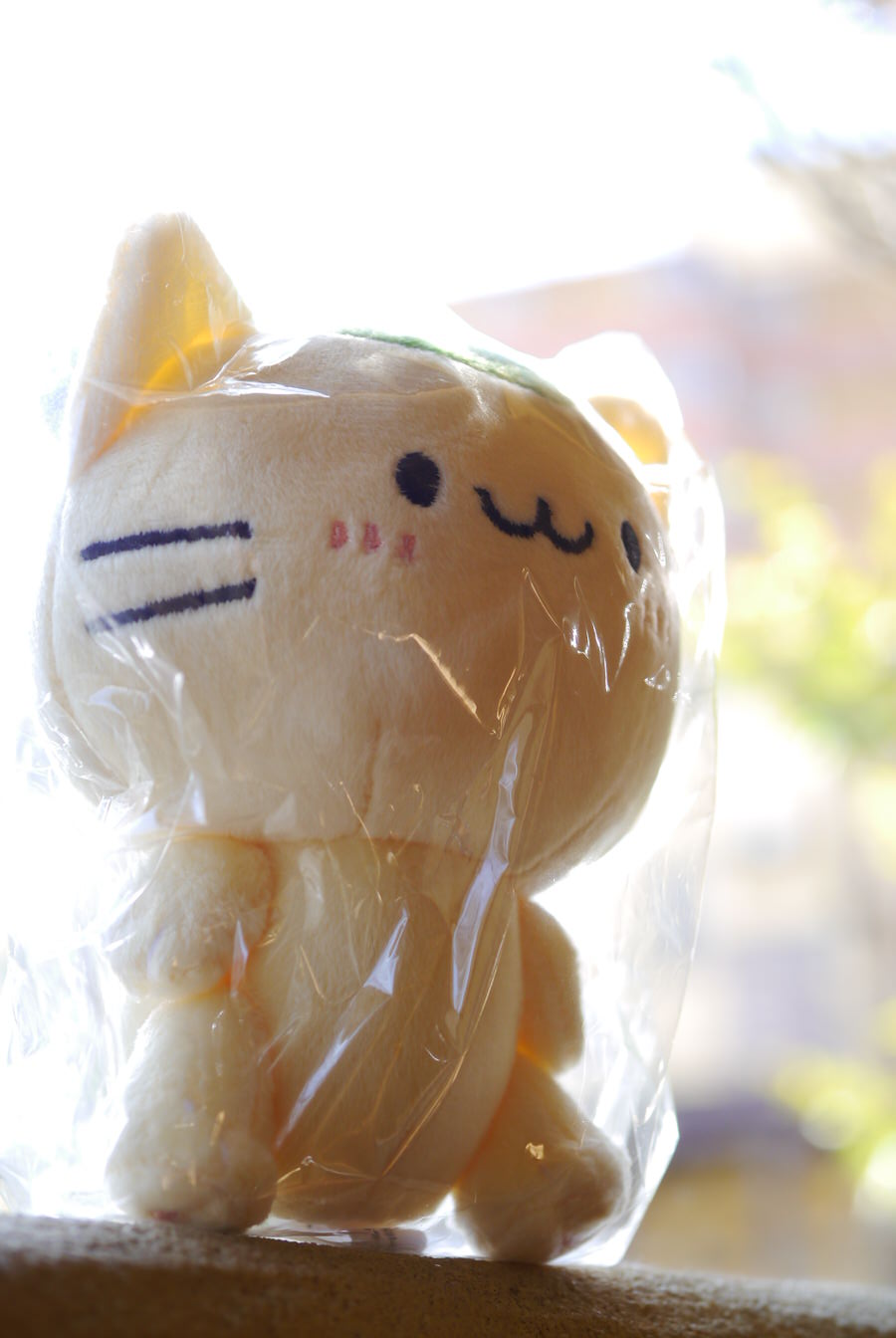 ちにゅりさん まっちゃねこ ぬいぐるみ・ポストカード・切手が届きました!