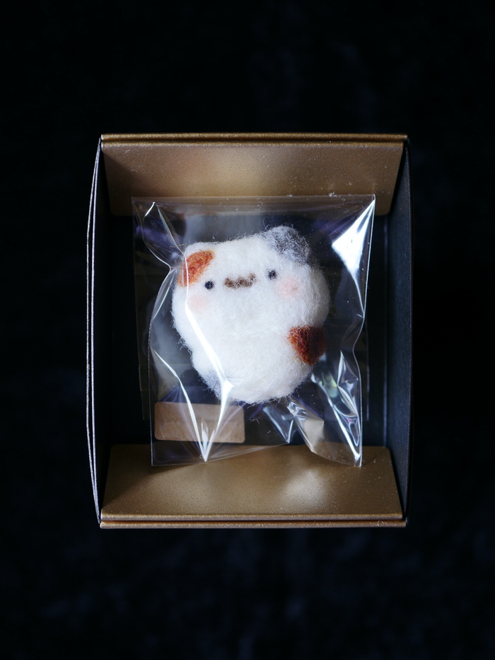 みゃあぼし×31さん ねことパンダのぬいぐるみのご紹介