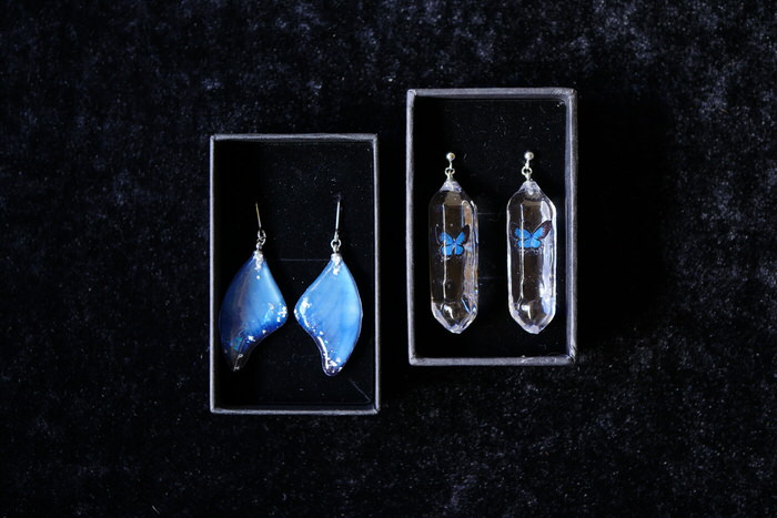 鉱石標本屋AMBERさん　蝶の水晶標本＆欠片標本ピアスのご紹介