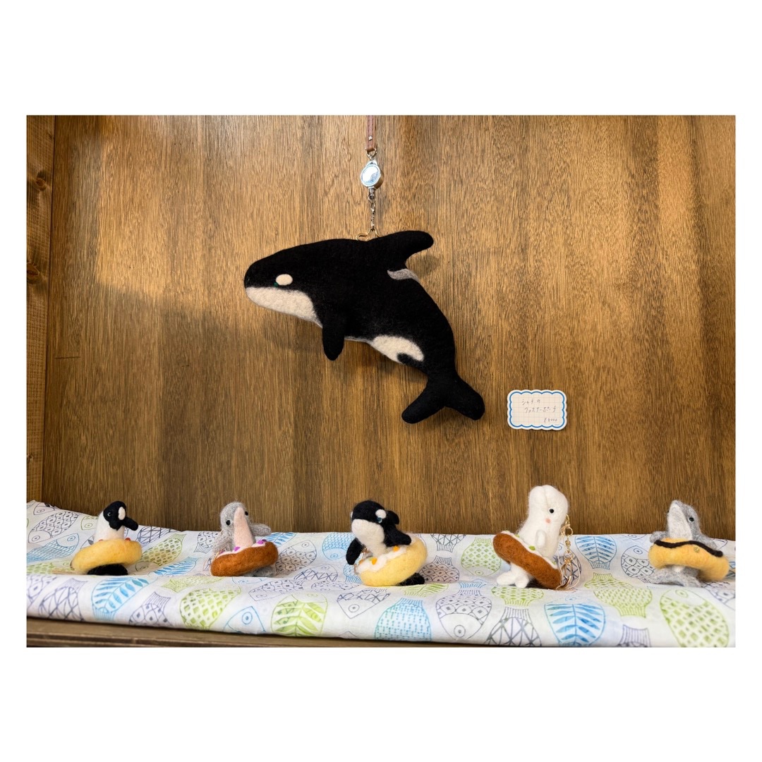 イルカドーナツ